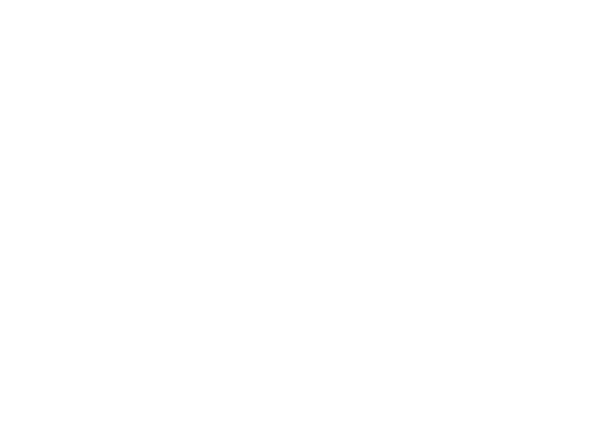 salad-money-logo-lime-white